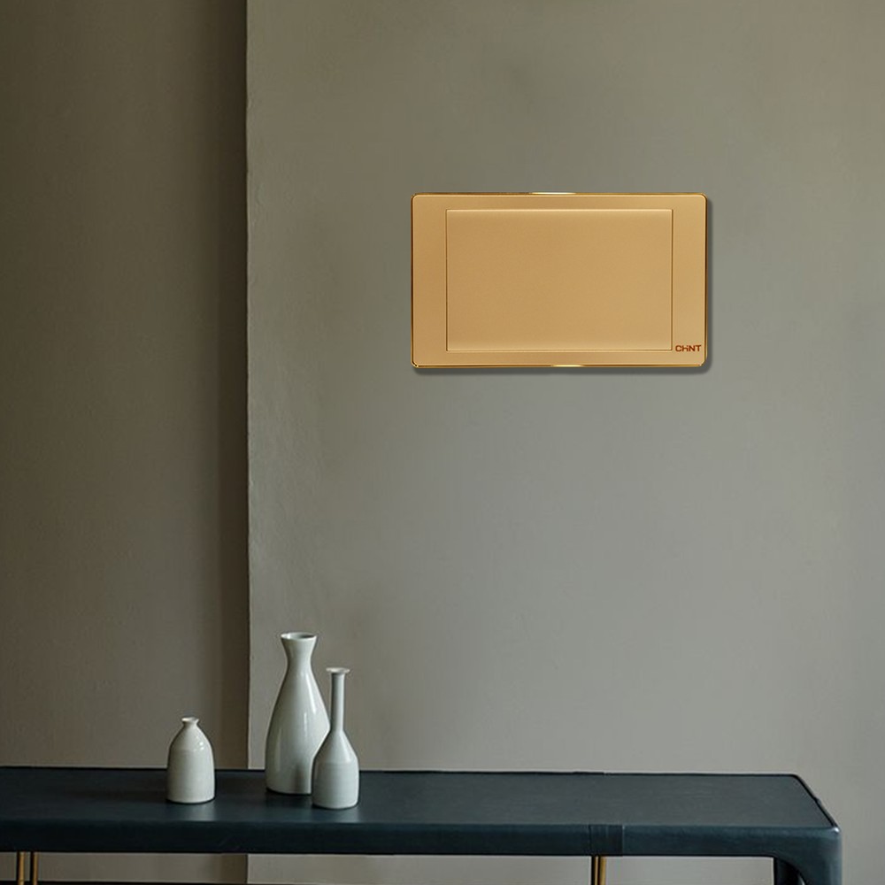 2 Gang Blank Plate 3x6 Gold