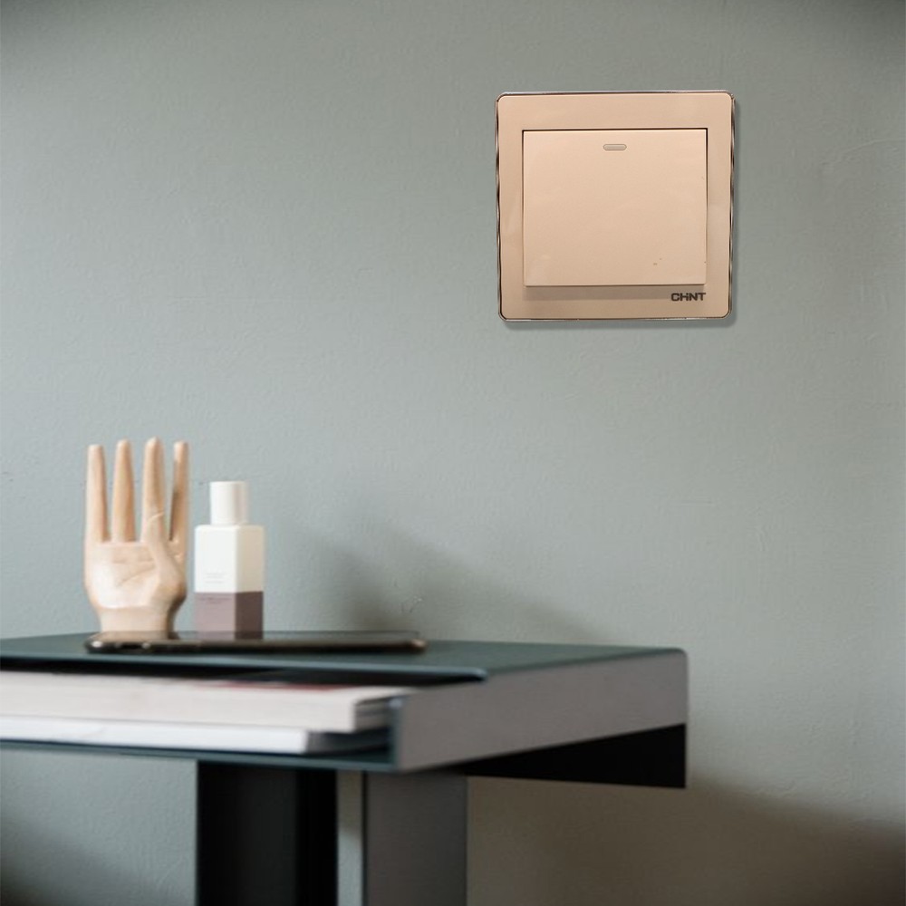 1 Gang 1 Way Switch 16A 250V