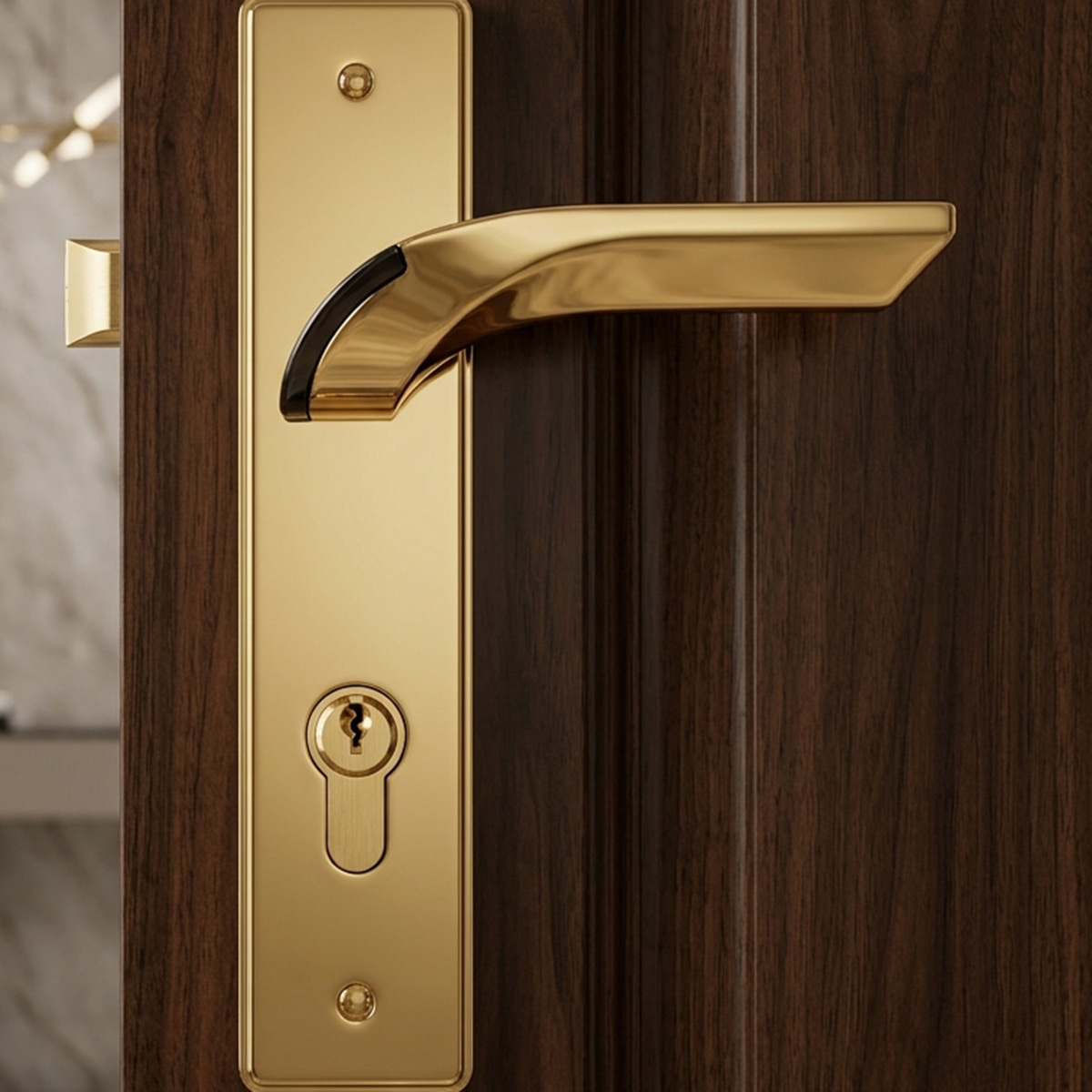 Kerry Door Lock Set