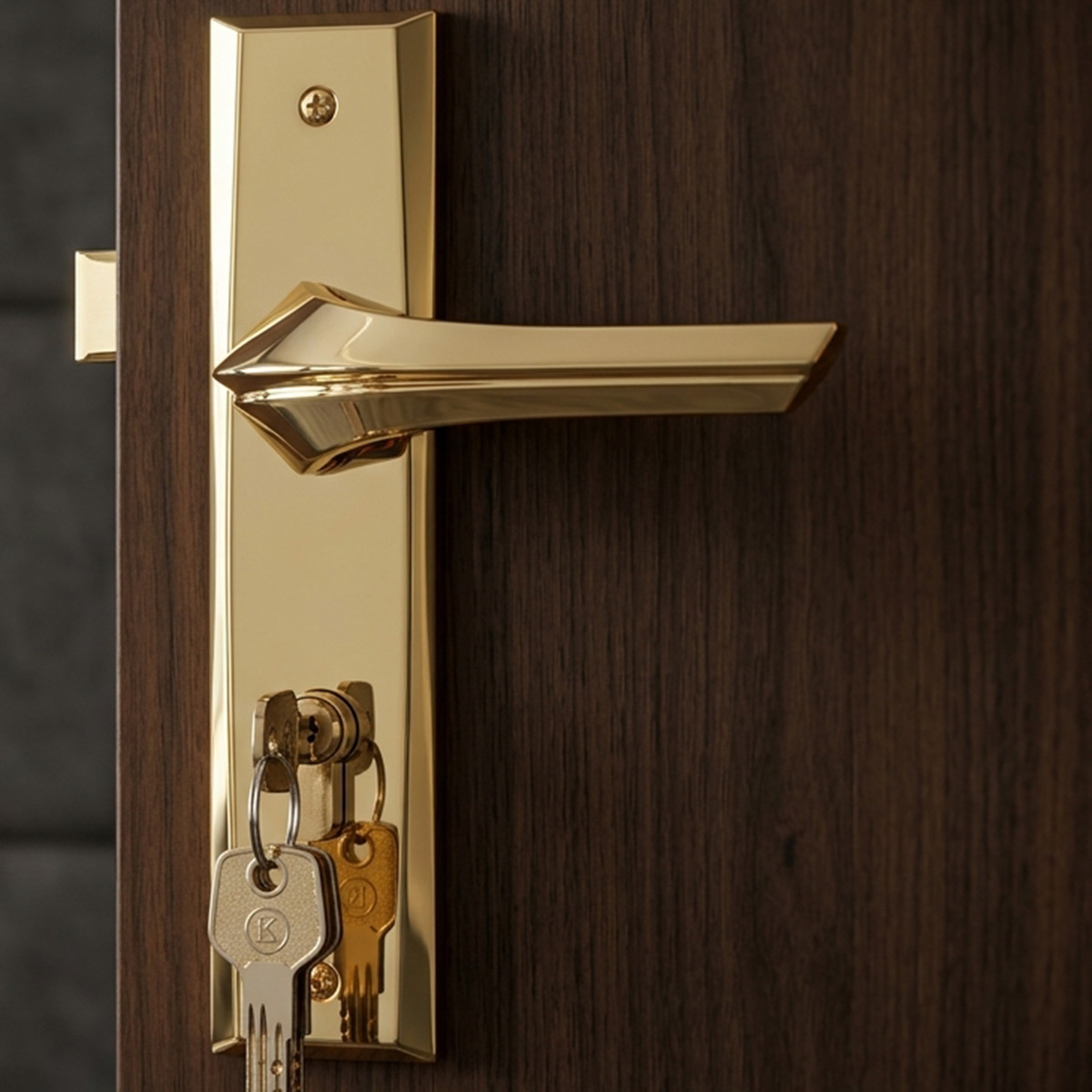 Kerry Door Lock Set