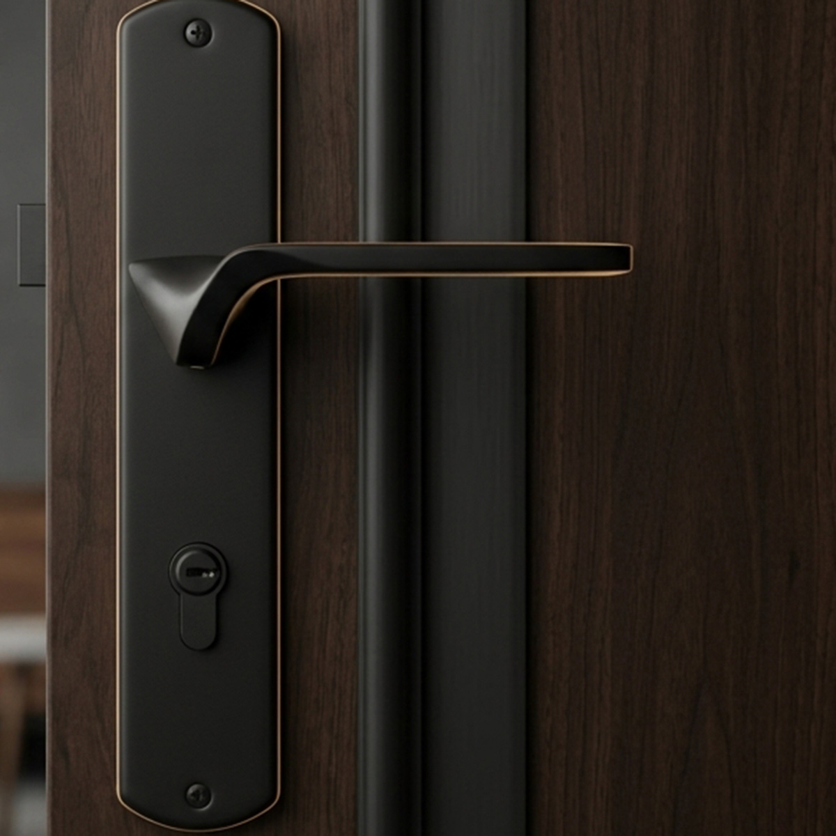 Kerry Door Lock Set