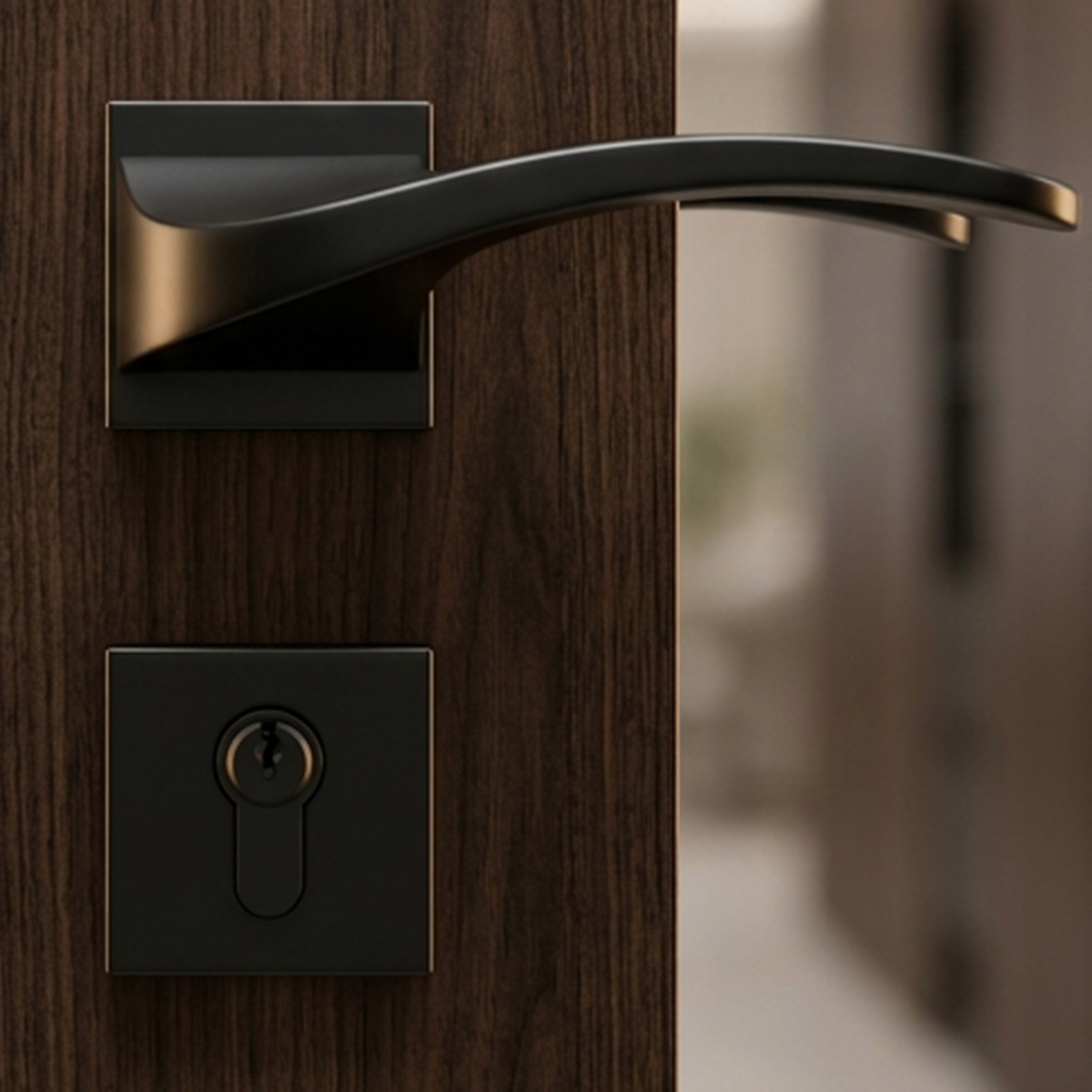 Kerry Door Lock Set