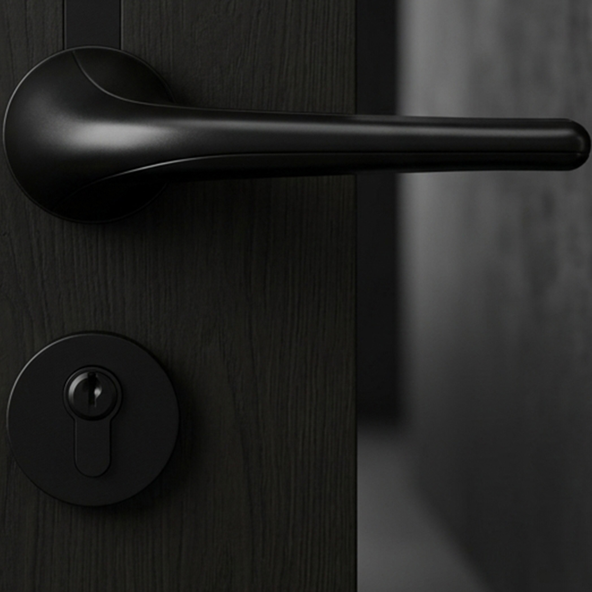 Kerry Door Lock Set