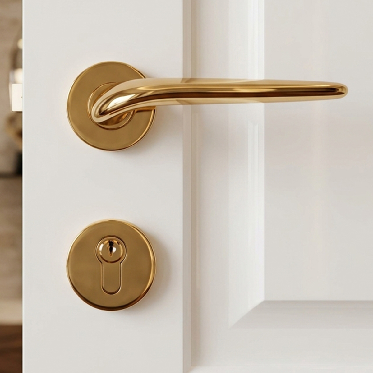 Kerry Door Lock Set