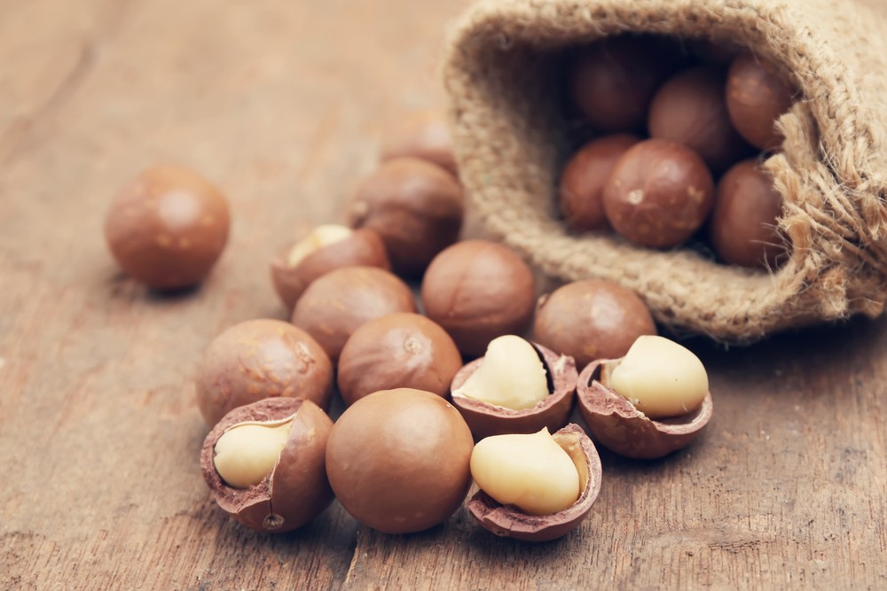 Macadamia Kernel RSA 1kg